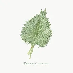 raddieyのフリーイラスト＆デザイン素材一覧 | P11のイラスト