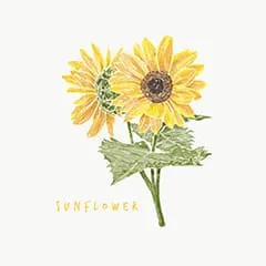 raddieyのフリーイラスト＆デザイン素材一覧 | P17のイラスト