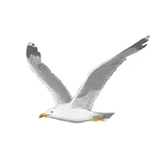 raddieyのフリーイラスト＆デザイン素材一覧 | P2のイラスト