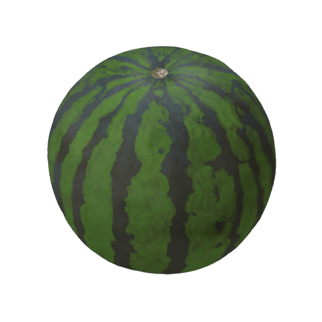 丸ごとのスイカのイラスト Raddiey Free イラストレーターraddieyのフリー素材